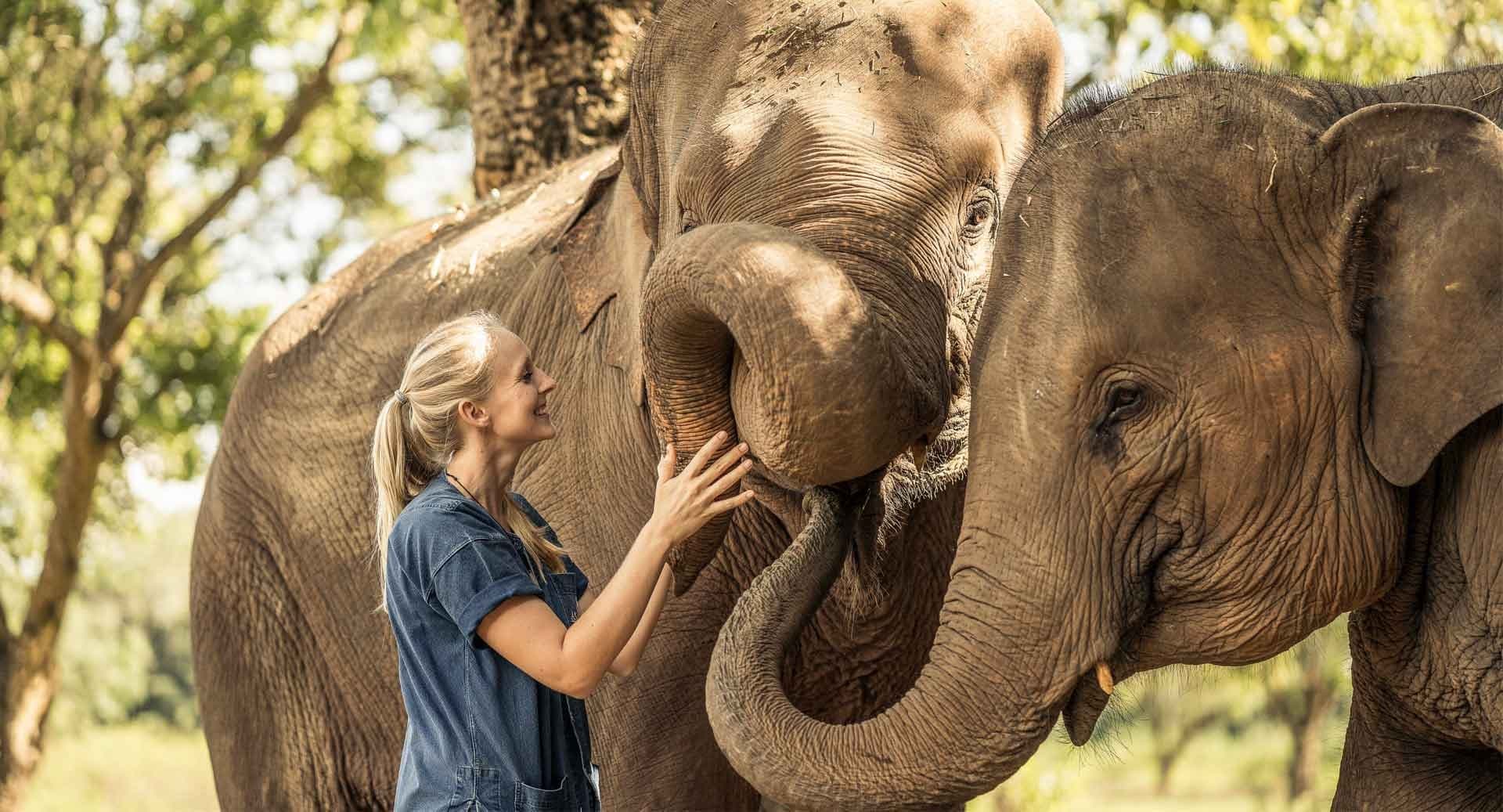 Kanchanaburi - Tren de la Muerte y Elephant Haven