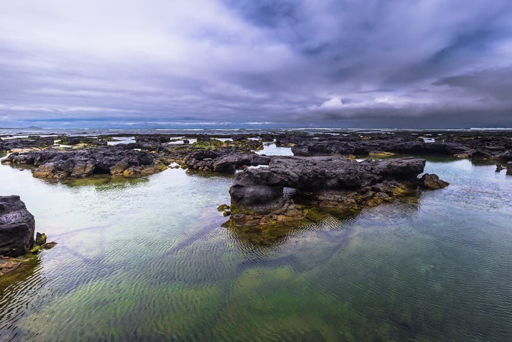 Galápagos en libertad