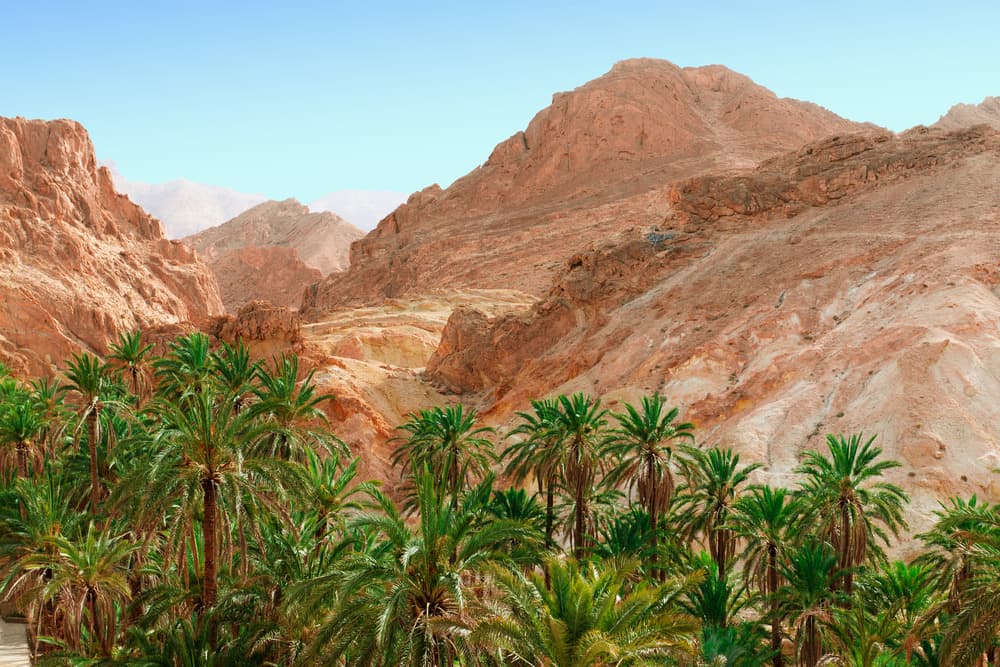 Escapade dans le sud tunisien