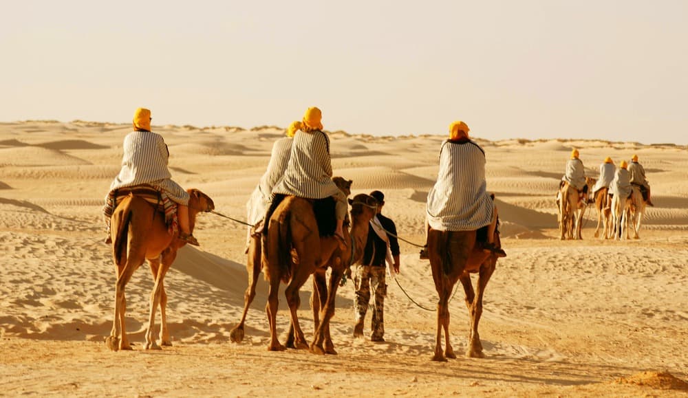 Expérience du désert - Randonnée dans les dunes du Sahara