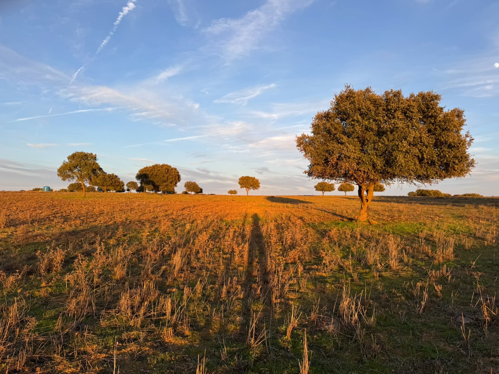 Escapada en Alentejo: pueblos, viñedos y patrimonios