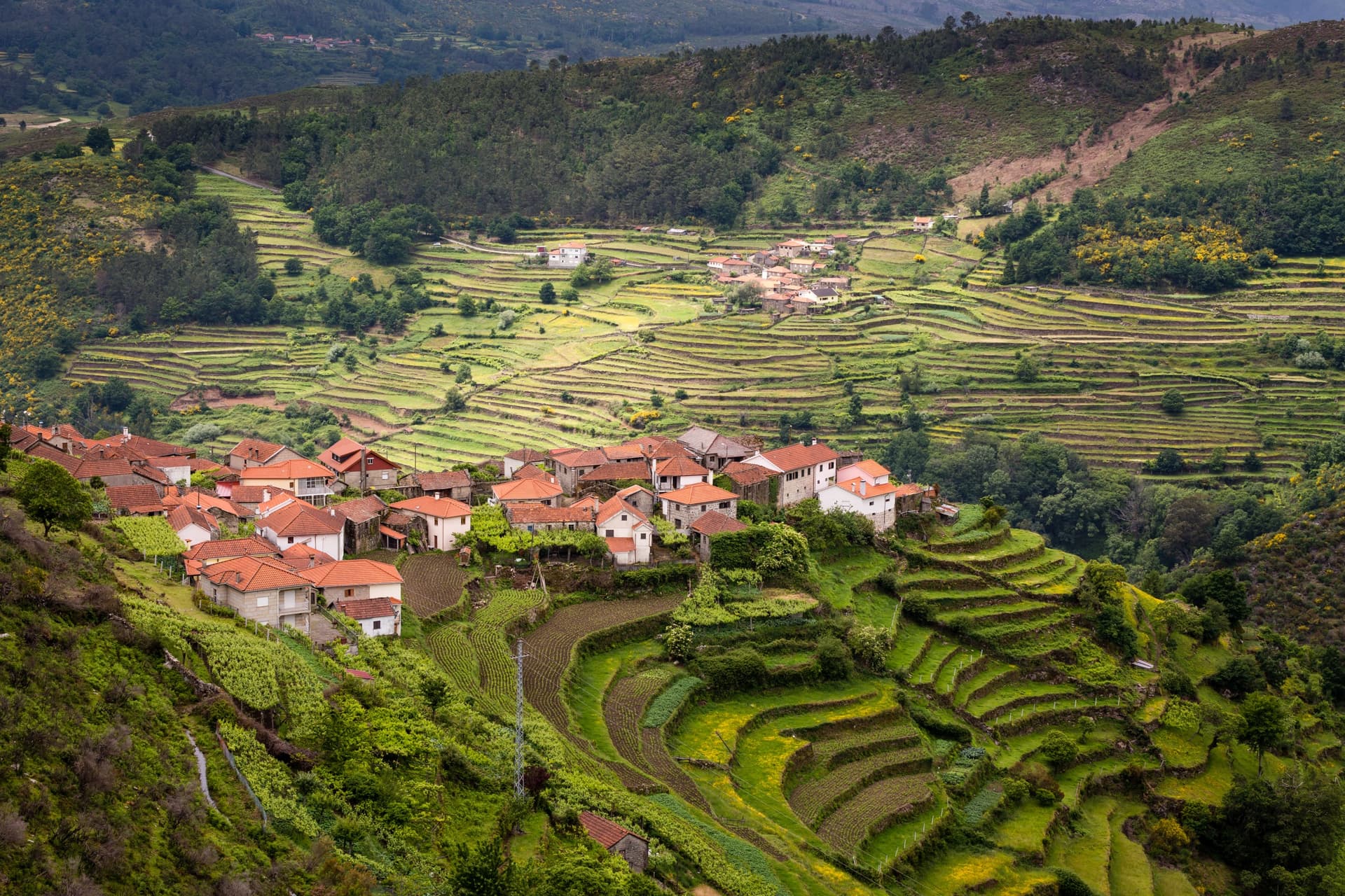 Portugal auténtico: tradiciones del Norte y del Centro