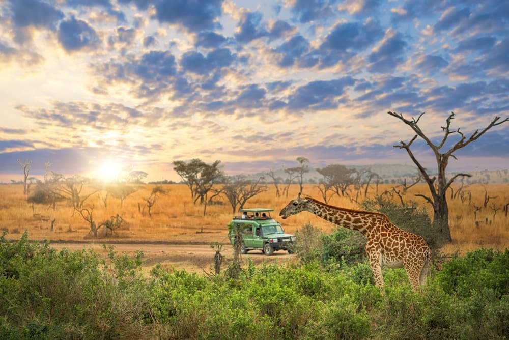 Lo Esencial de Tanzania