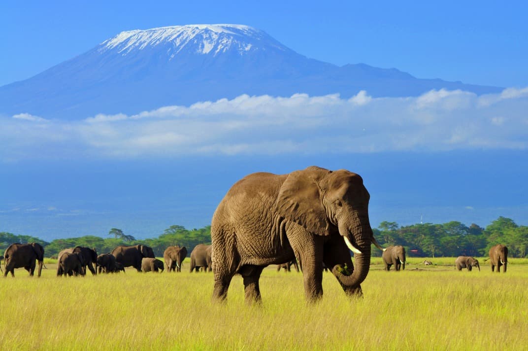 Ascension du Mont Kenya et du Kilimanjaro