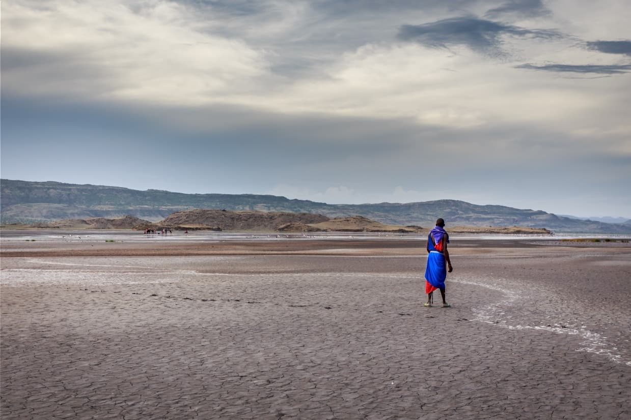 Encuentro con los masái: trekking y safari