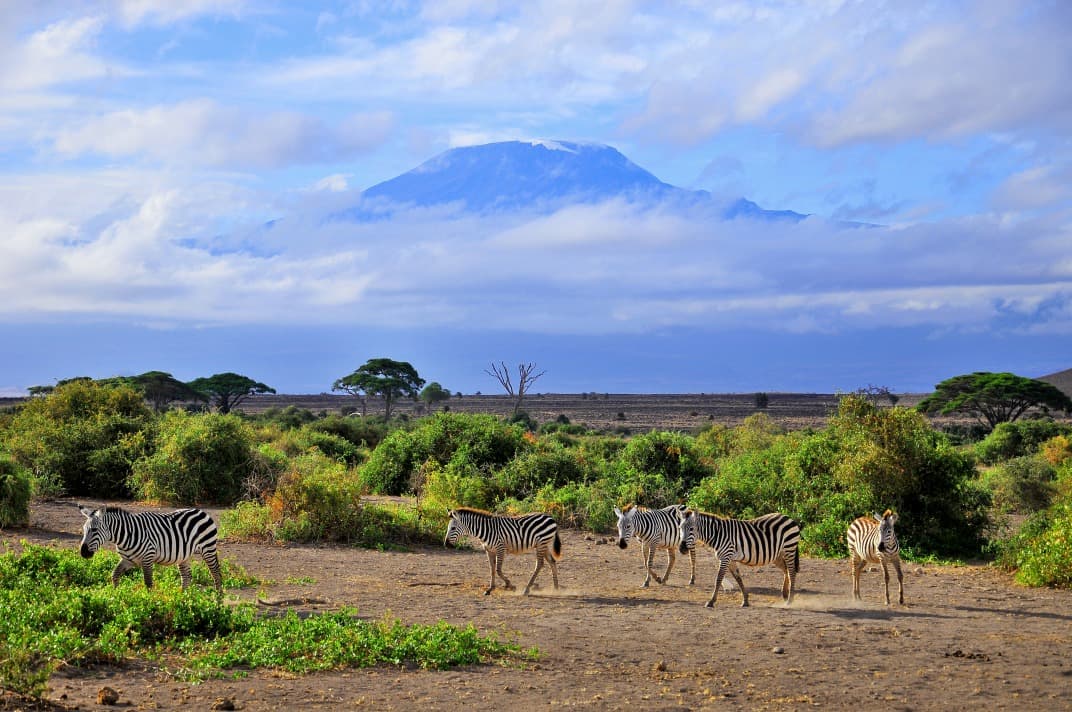 Toit de l'Afrique & Vie Sauvage