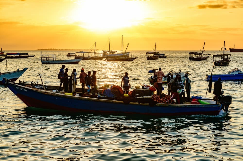Zanzíbar, Descubrimiento de la isla de las especias