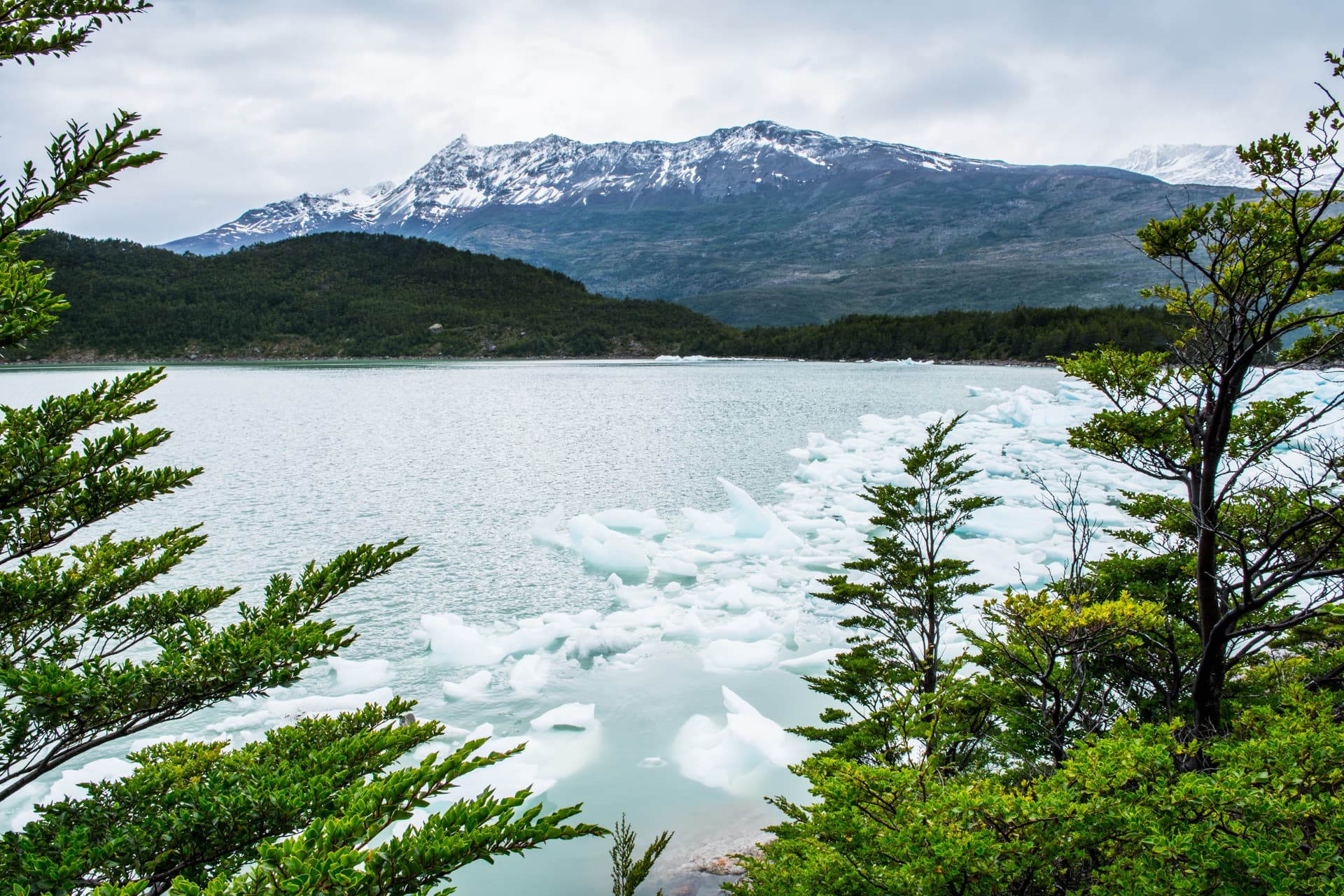 Parque Nacional Bernardo O'Higgins
