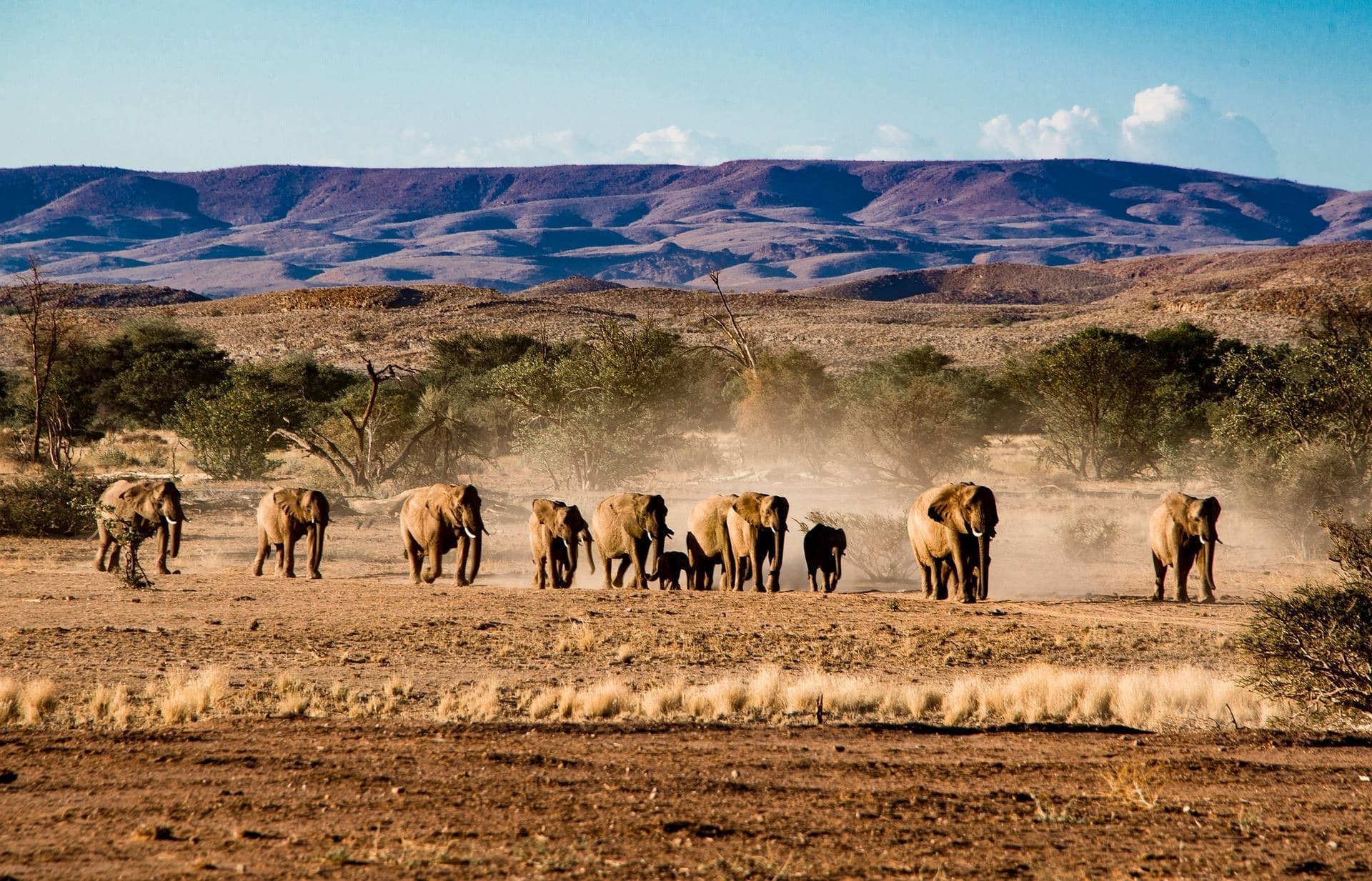 Namibia en 4x4 privado — Confort