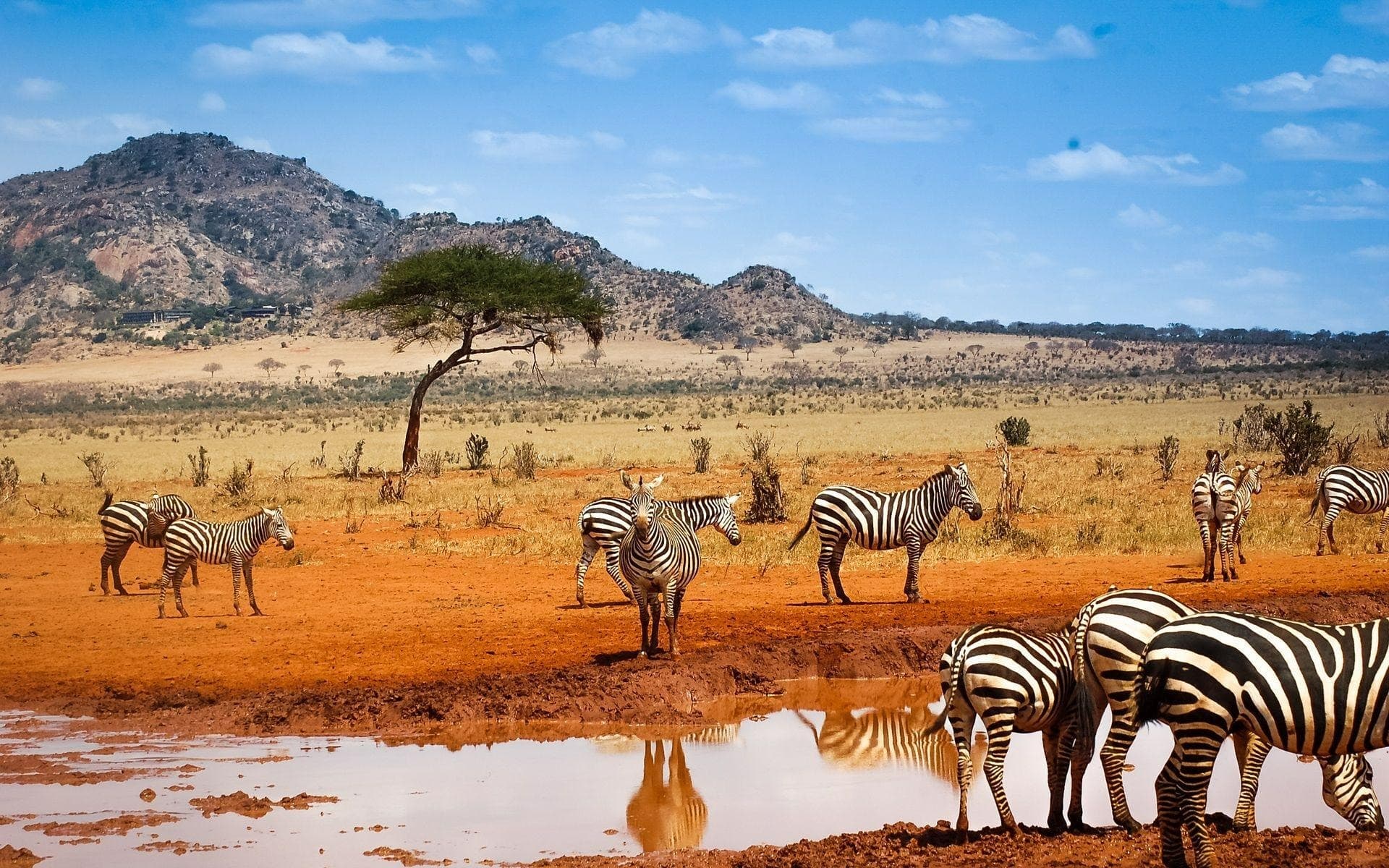 Namibia en 4x4 privado — Lujo