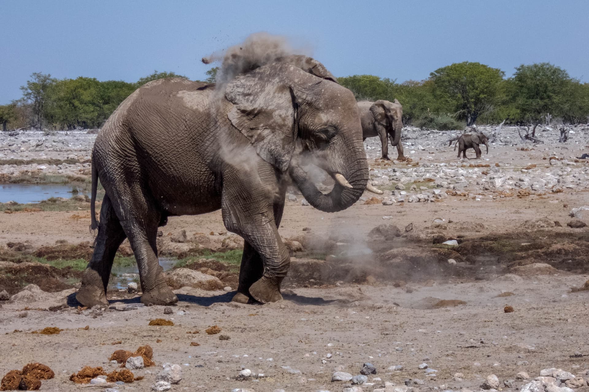 Etosha