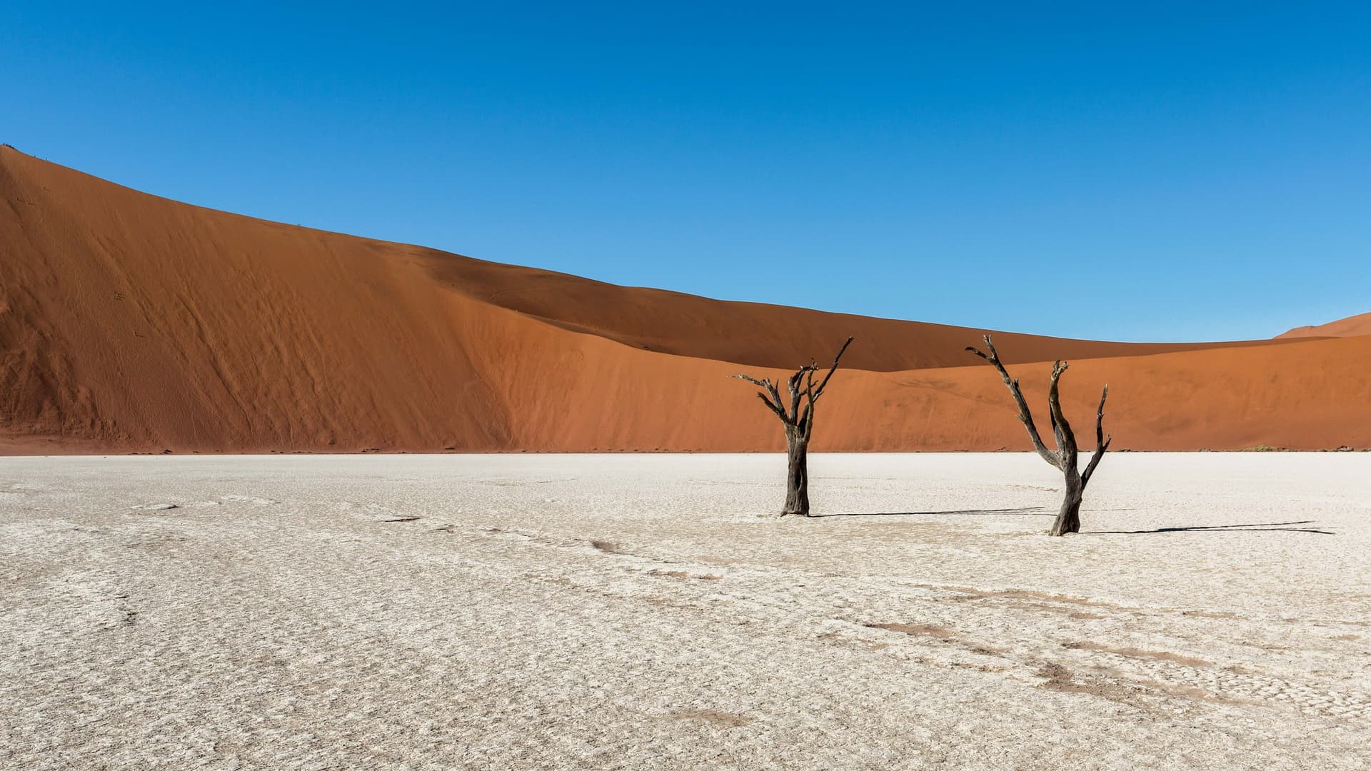 Reserva Natural NamibRand / Desierto del Namib