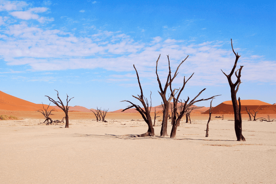 Desierto del Namib