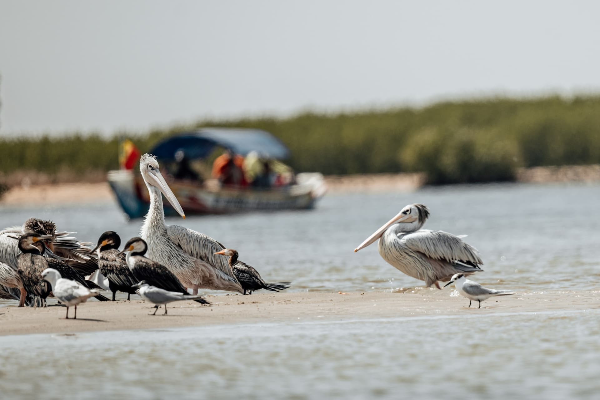 Escapade au Delta du Saloum