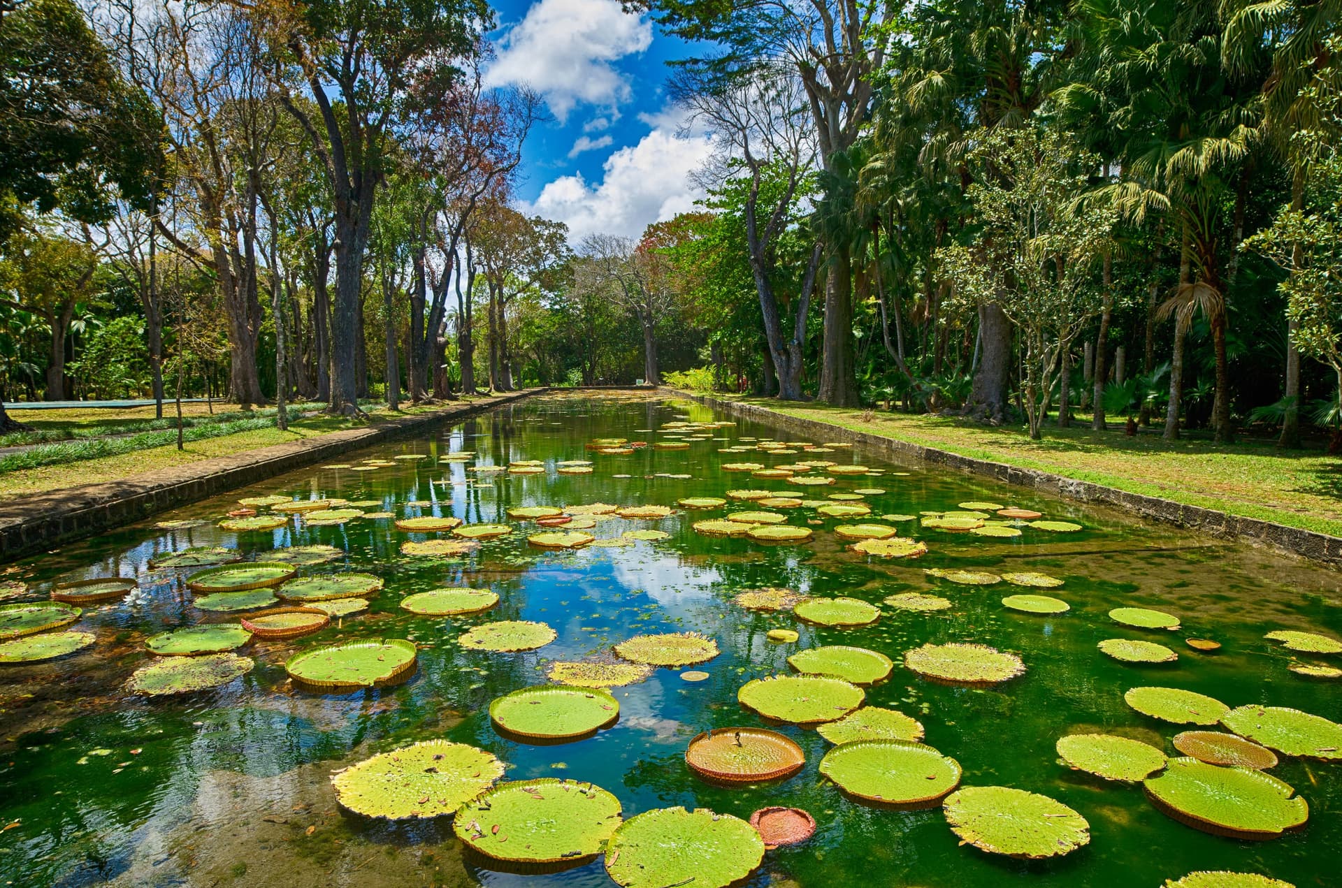 Viaje cultural