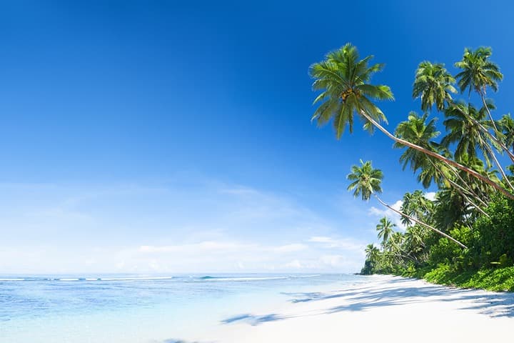 Sulawesi Centre : Extension aux Îles Togian