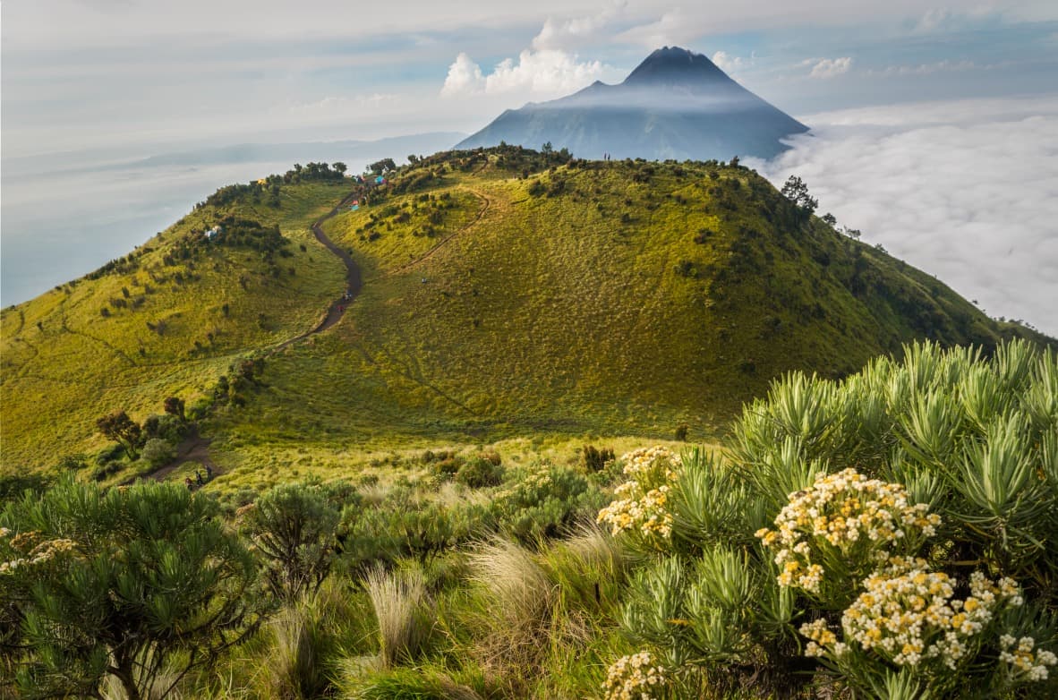Merbabu: ascensión de la "montaña de cenizas"