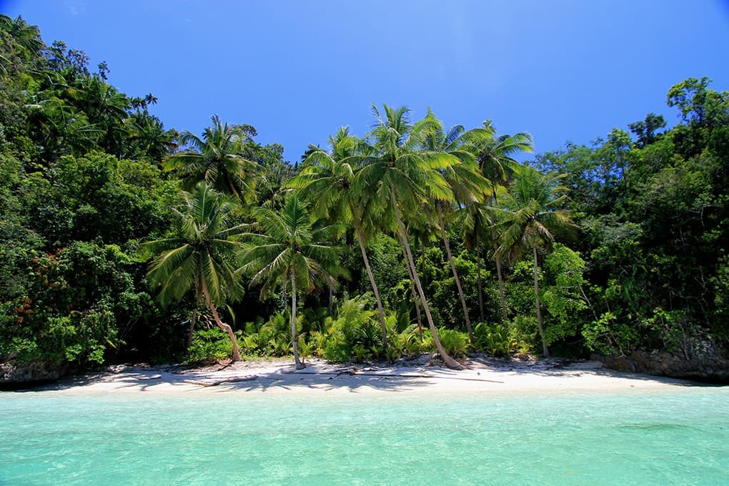 Maravillosas Raja Ampat