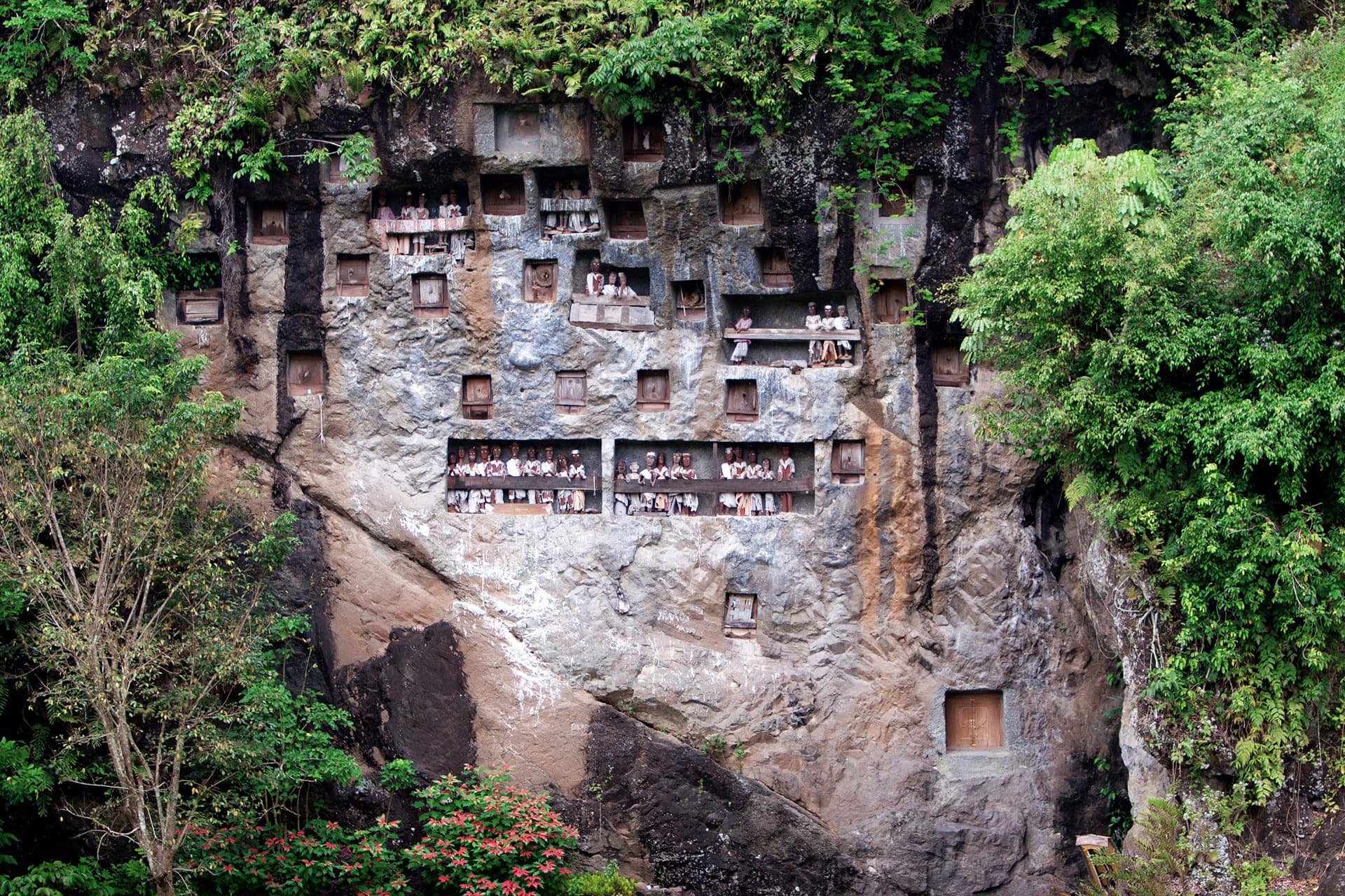 Rites funéraires Toraja & majestueux volcans de Java