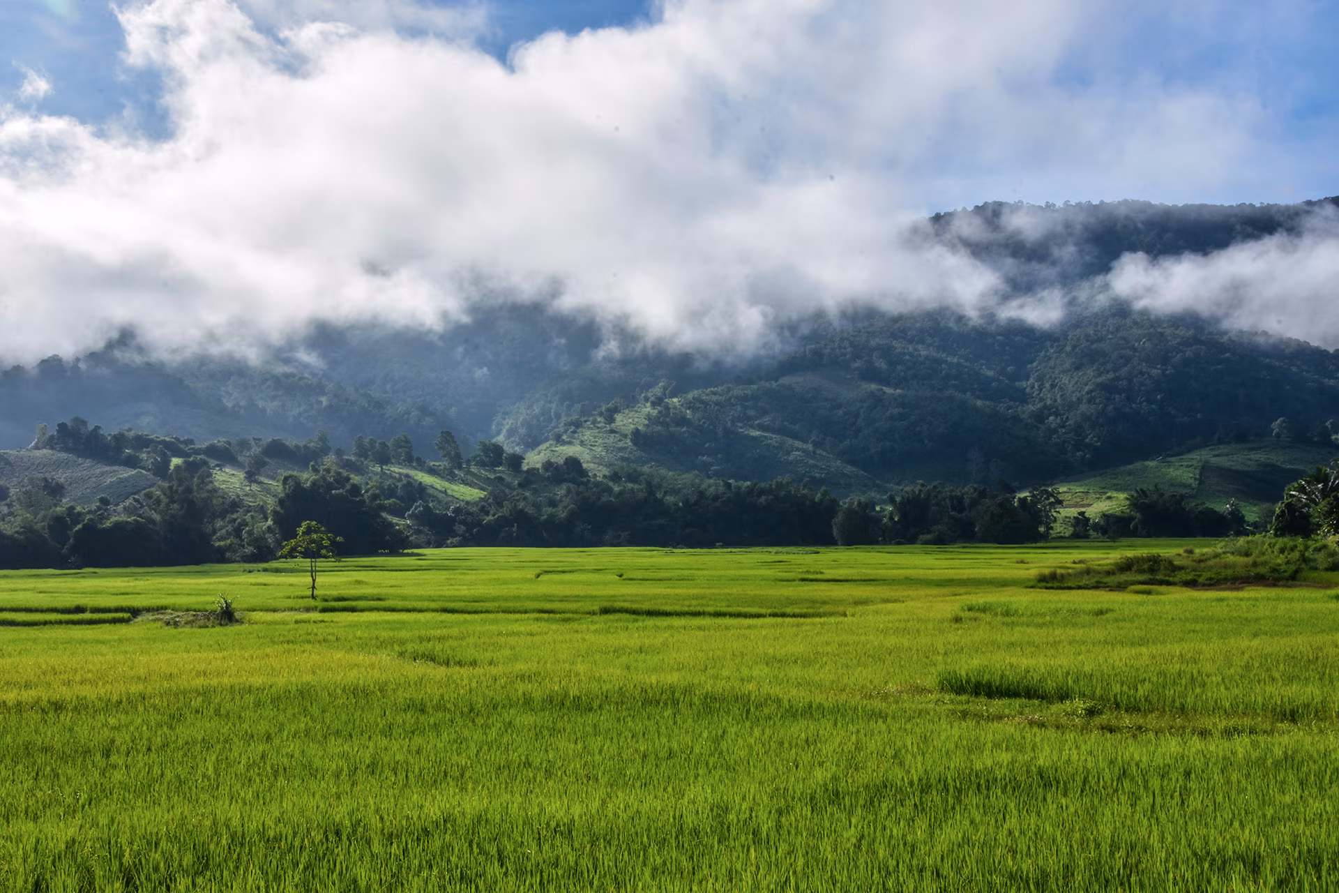 Sulawesi: inmersión en país Toraja