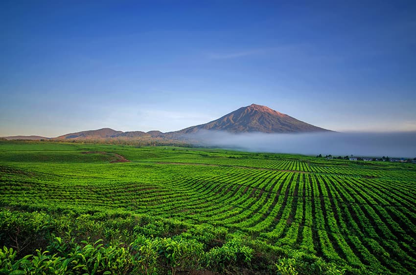 Sumatra: el valle secreto
