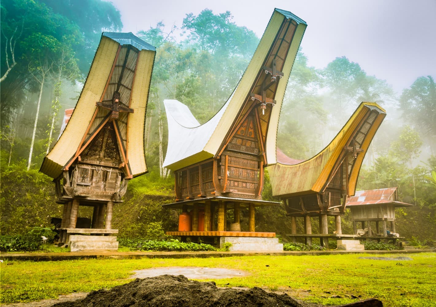 Trek et immersion chez les Toraja
