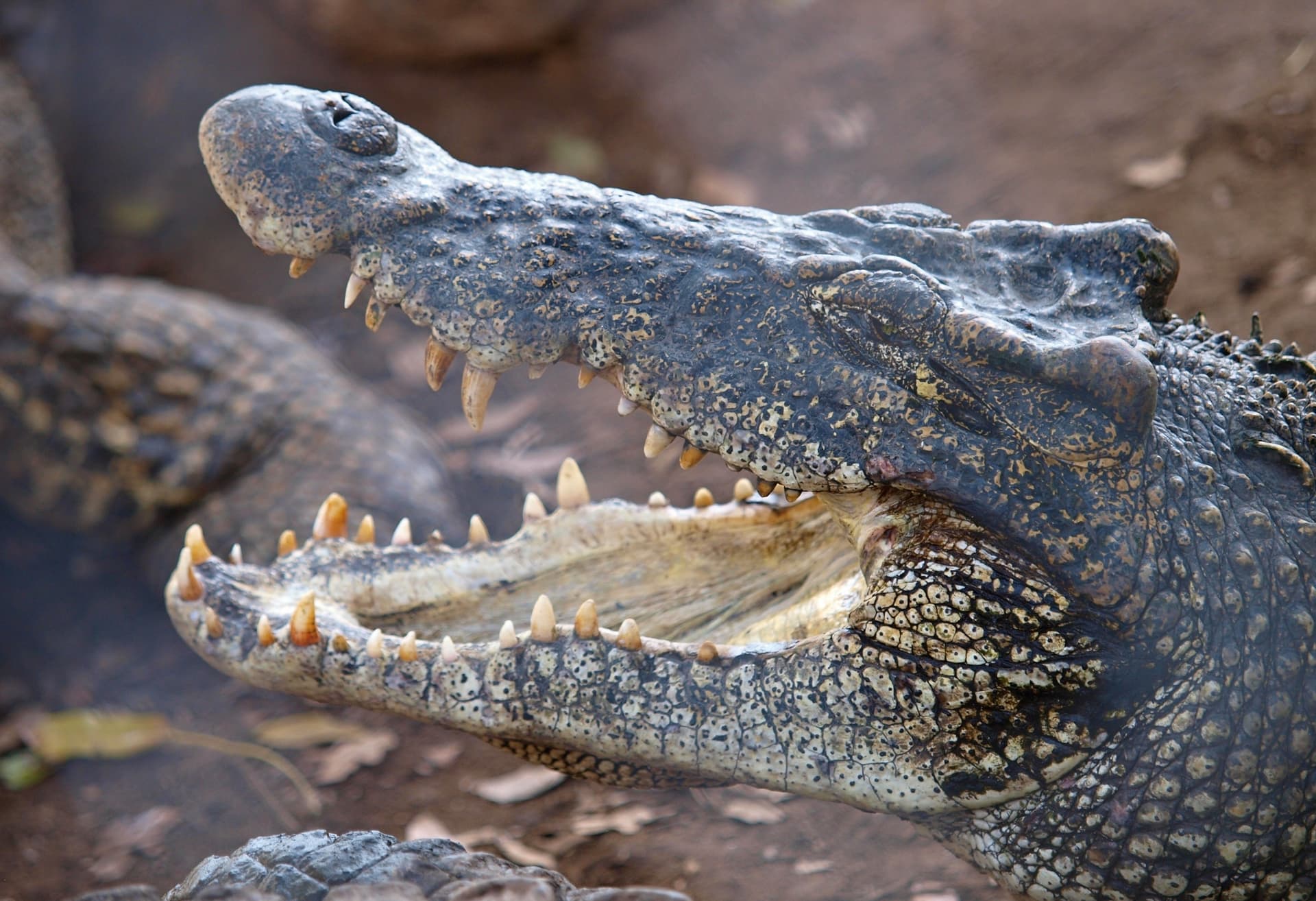 Jour 7