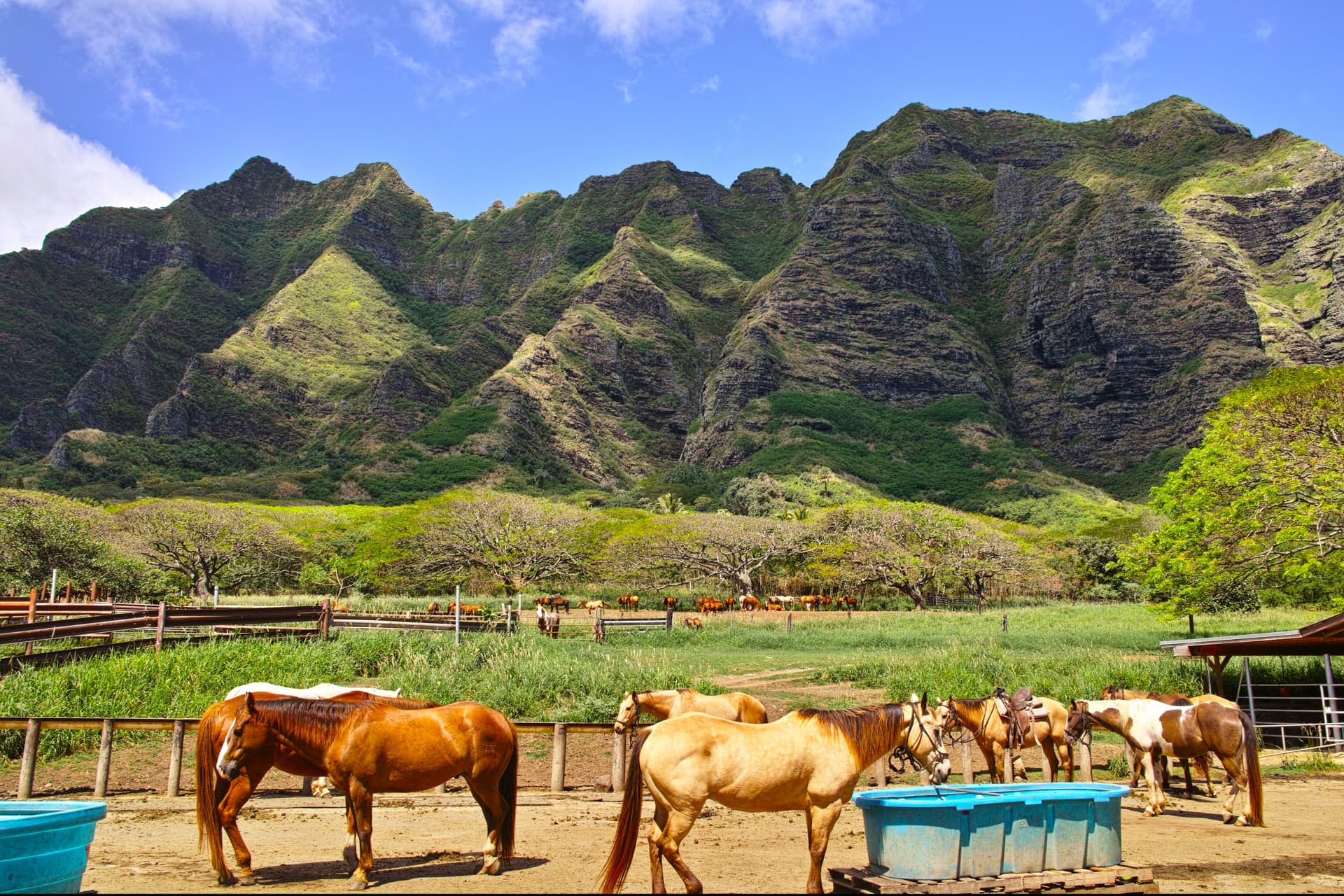 Jour 5