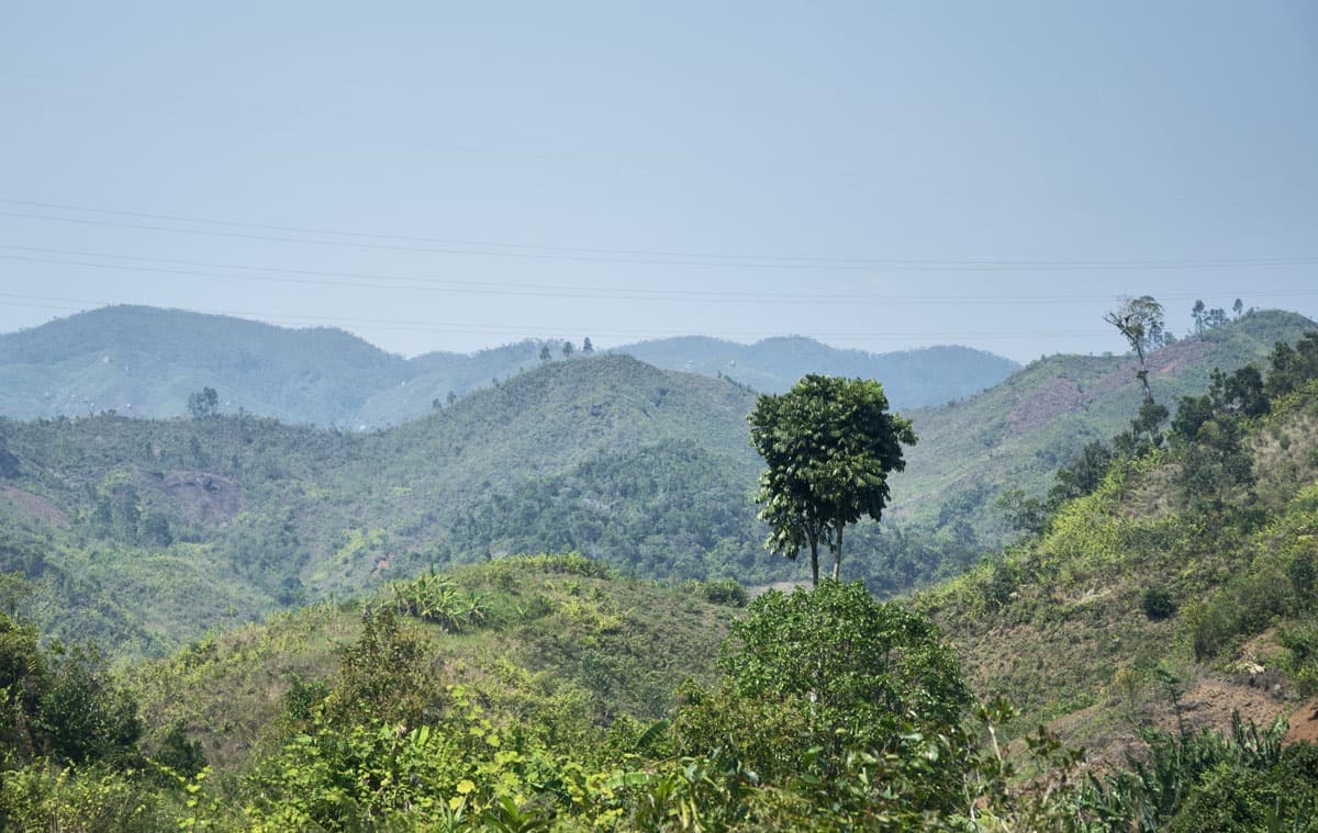 Inmersión en la selva