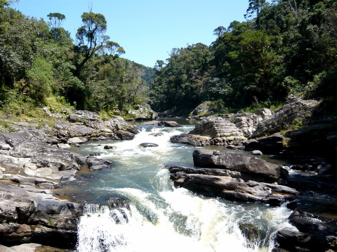 Día de reserva o descubrimiento del parque