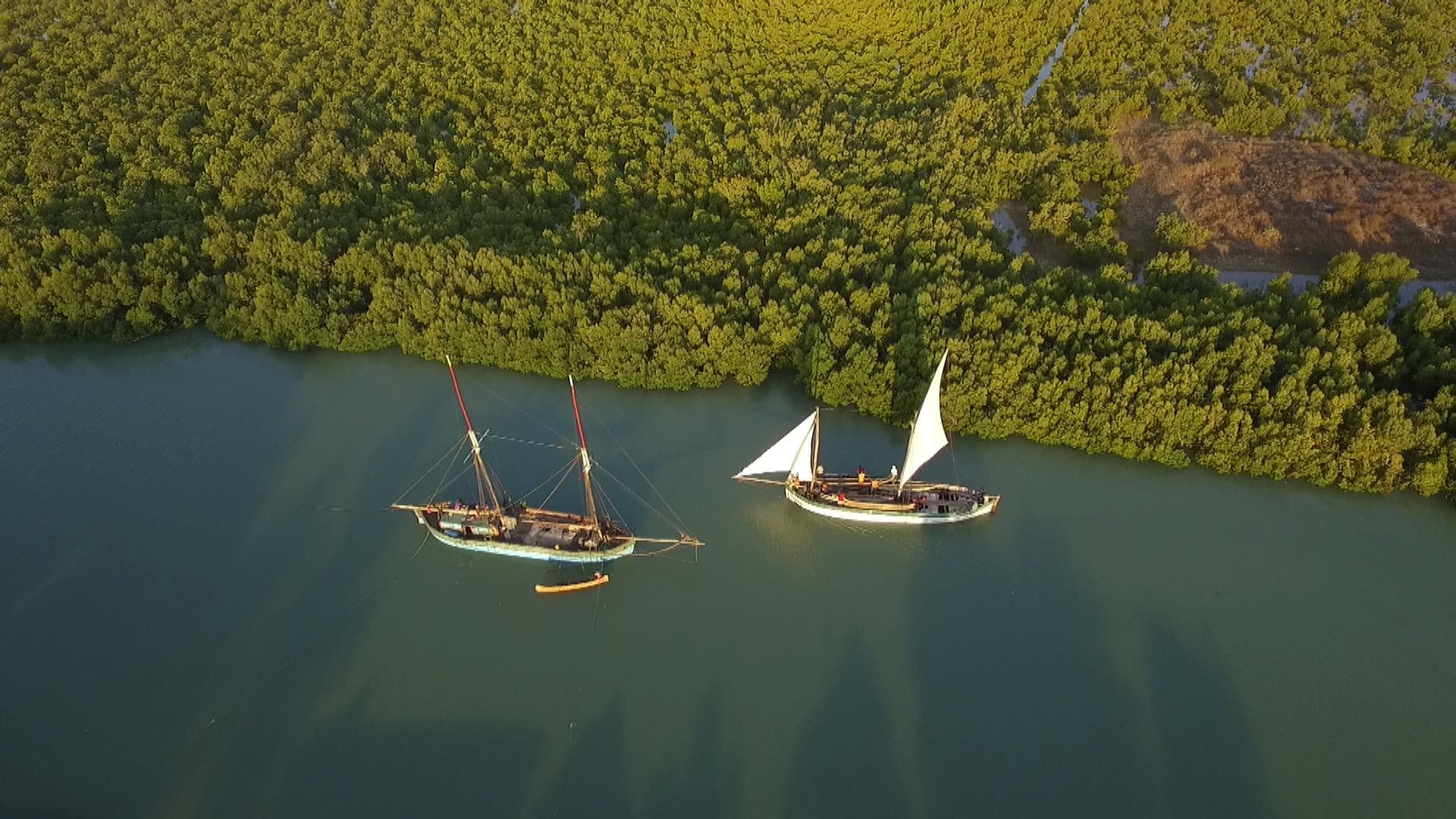 Crucero migratorio de Morondava a Majunga