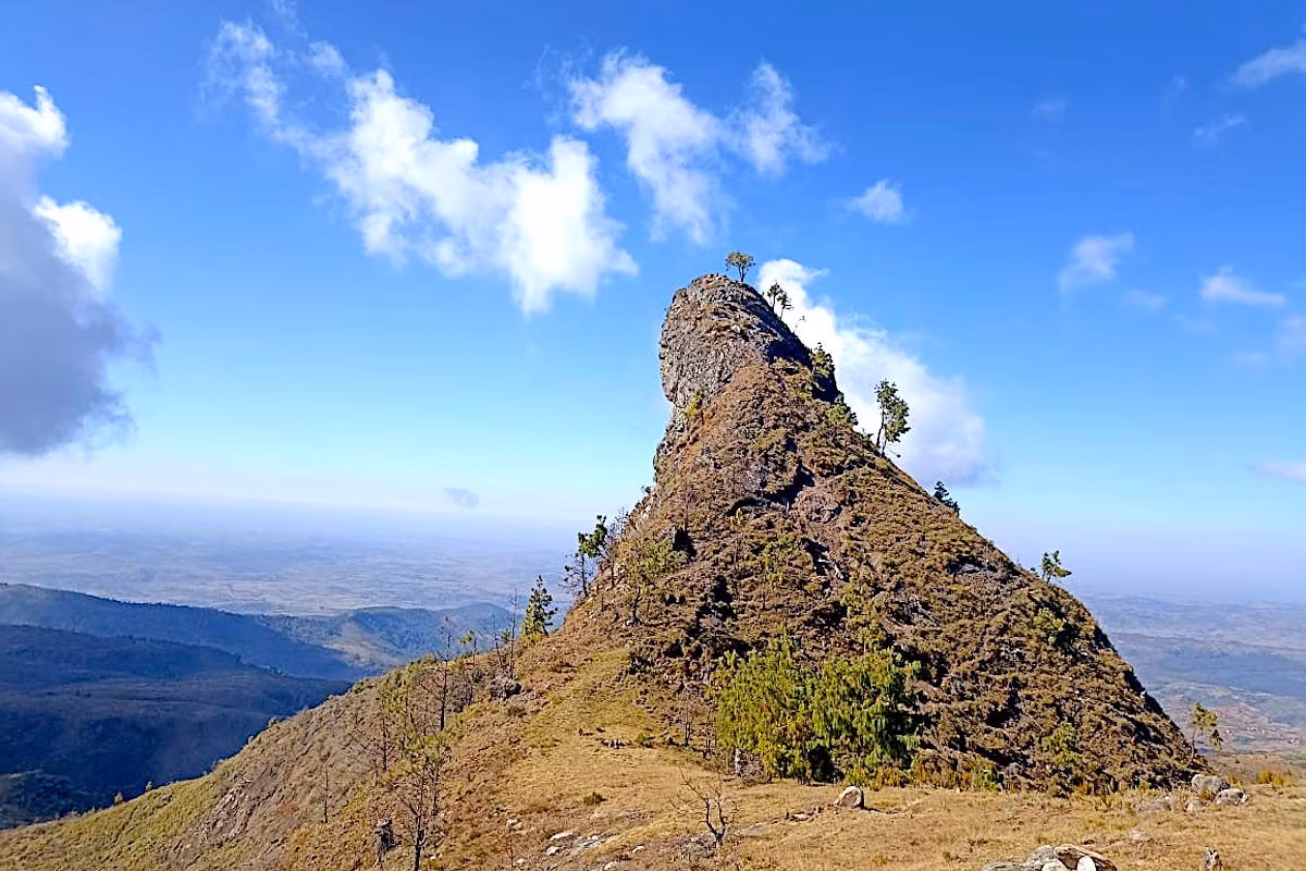 De la misteriosa foresta de los Vazimba de Ankaratra a la cima del Tsiafajavona