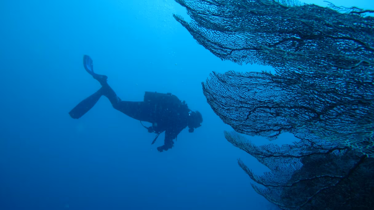 Buceo y navegación en el Archipiélago de los Mitsio