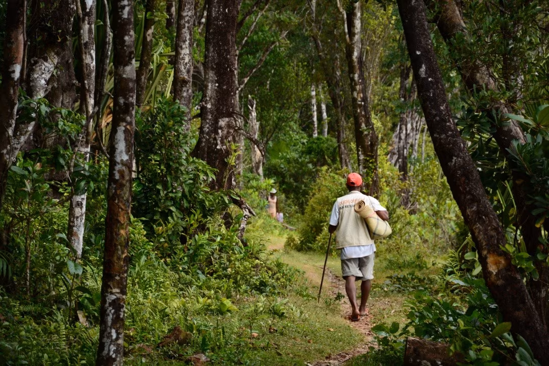 Caminatas excepcionales en el Cabo Masoala