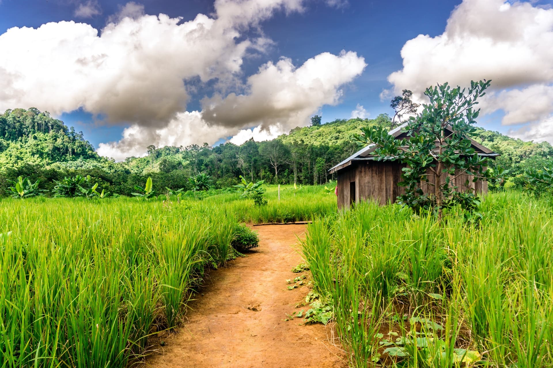 La provincia de Mondulkiri
