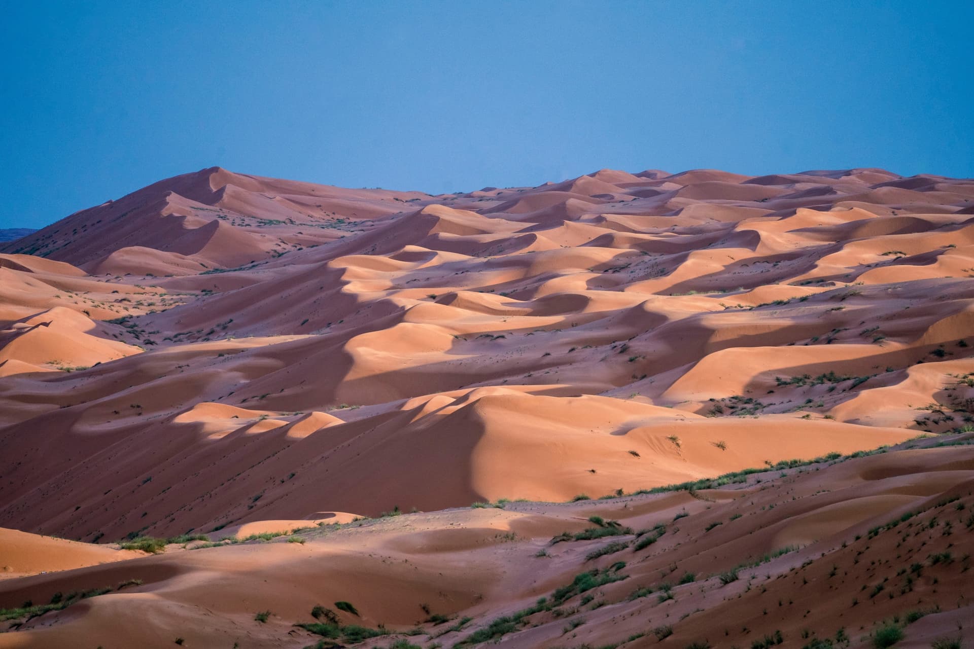 Los colores de Oman