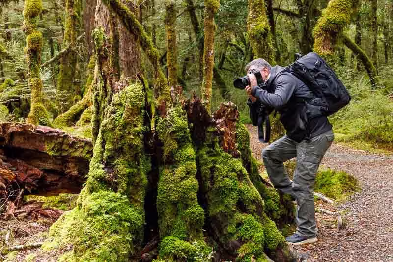 Viaje fotográfico de naturaleza en Nueva Zelanda