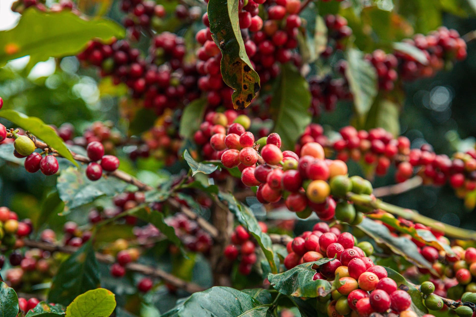Jour 5