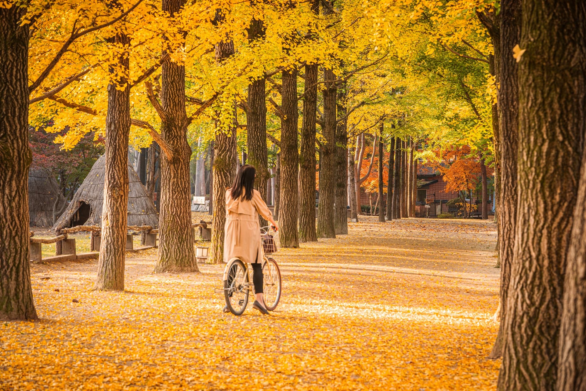 Colores de otoño en Corée du Sud