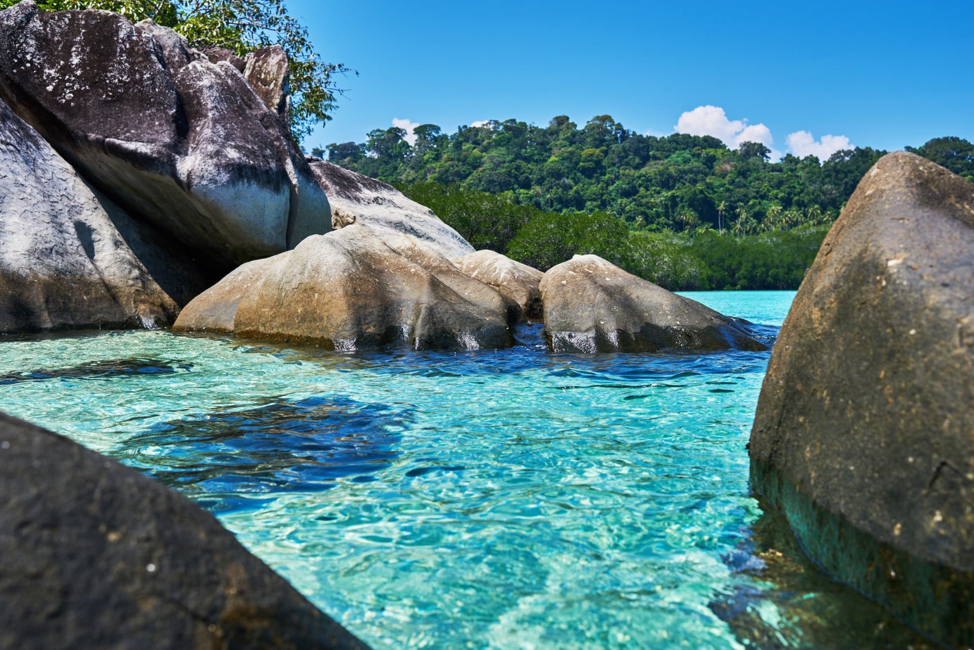 Malaisie, jungle et plages de Tioman