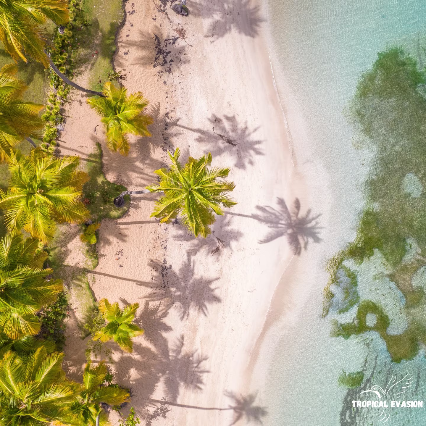 Bayahibe al ritmo tranquilo: 8 días entre mar, naturaleza y cultura local