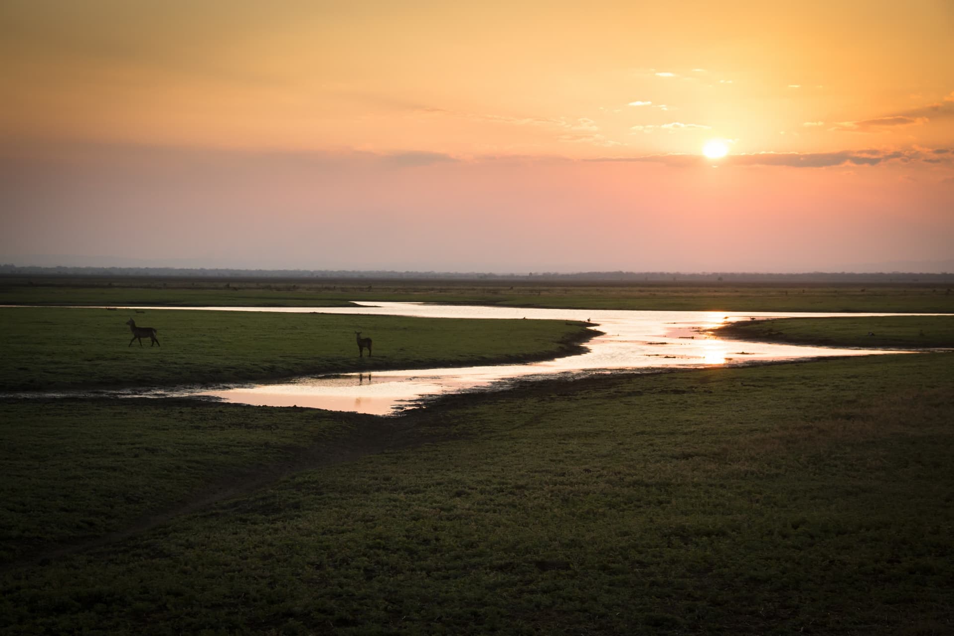 Gorongosa & Sud Mozambique : Immersion entre Terre et Mer