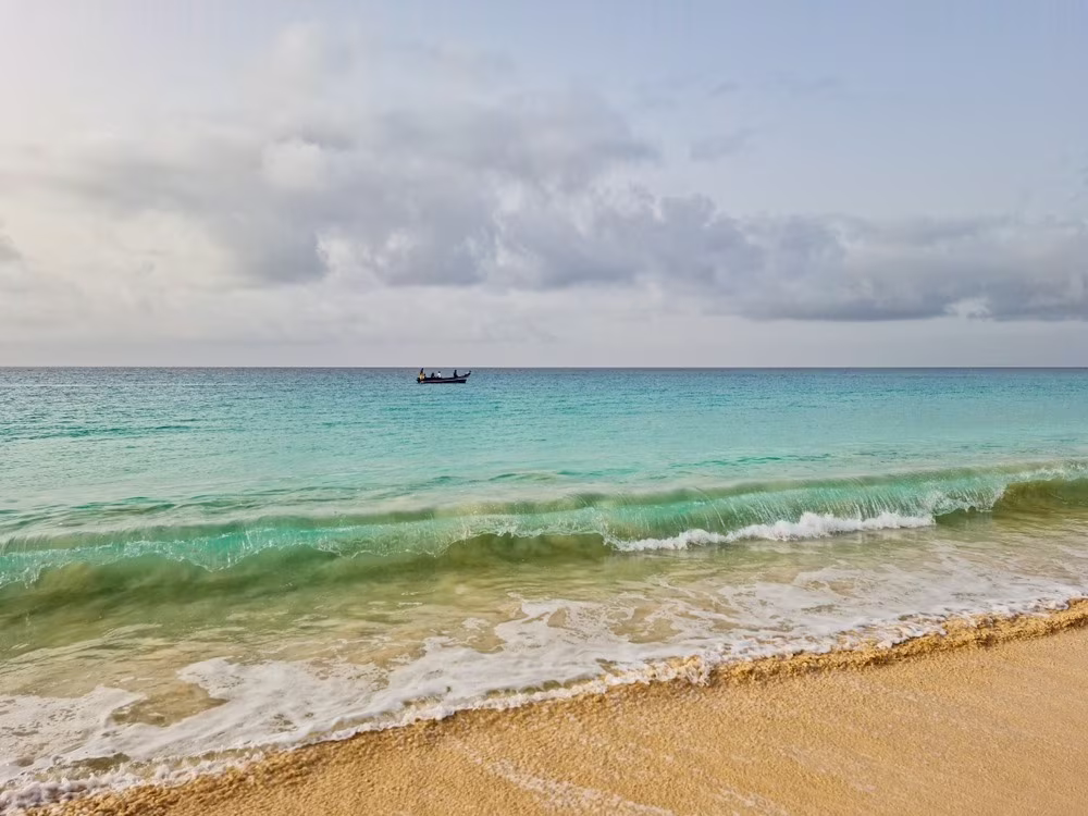 Safari y Playas en Mozambique