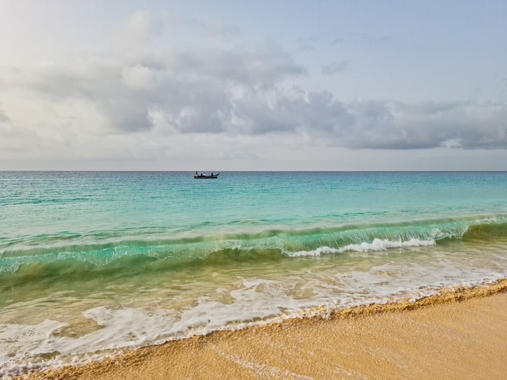 Entre Safari et Plages au Mozambique