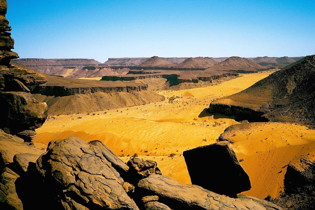 Las palmeras del Adrar mauritano