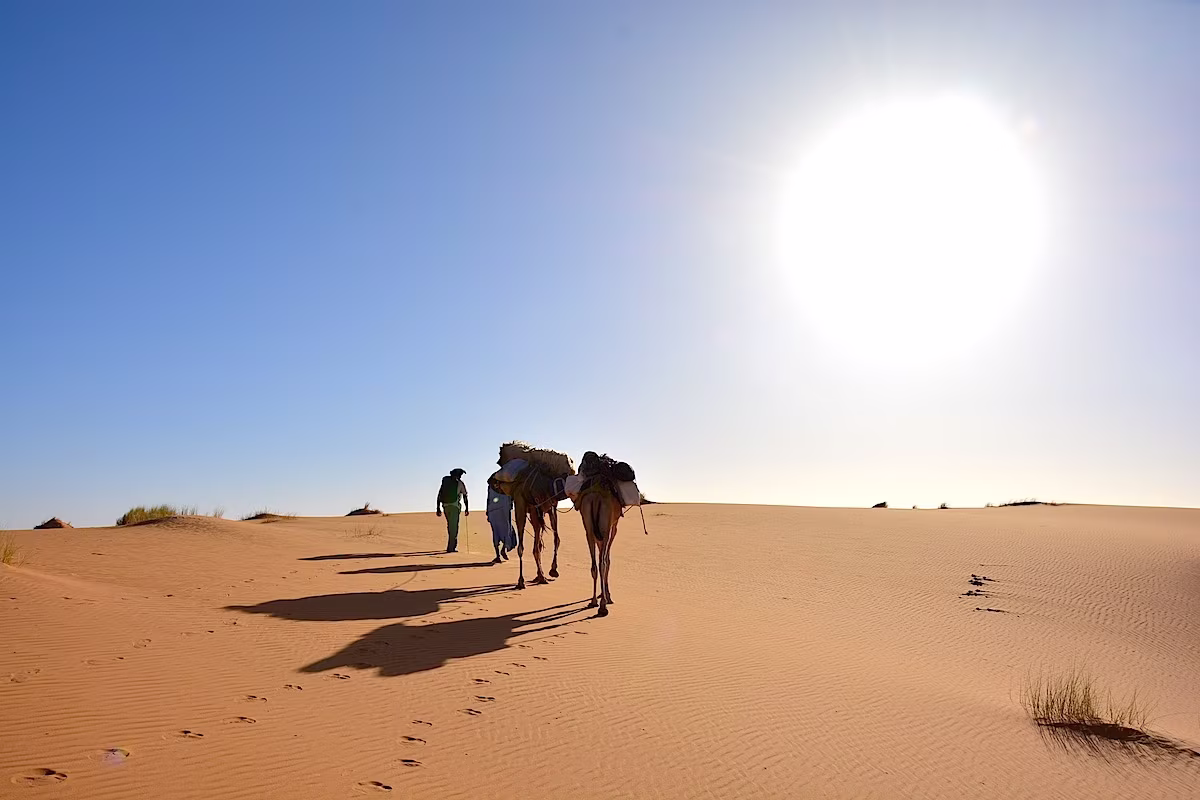 Iniciación a la vida en el Desierto