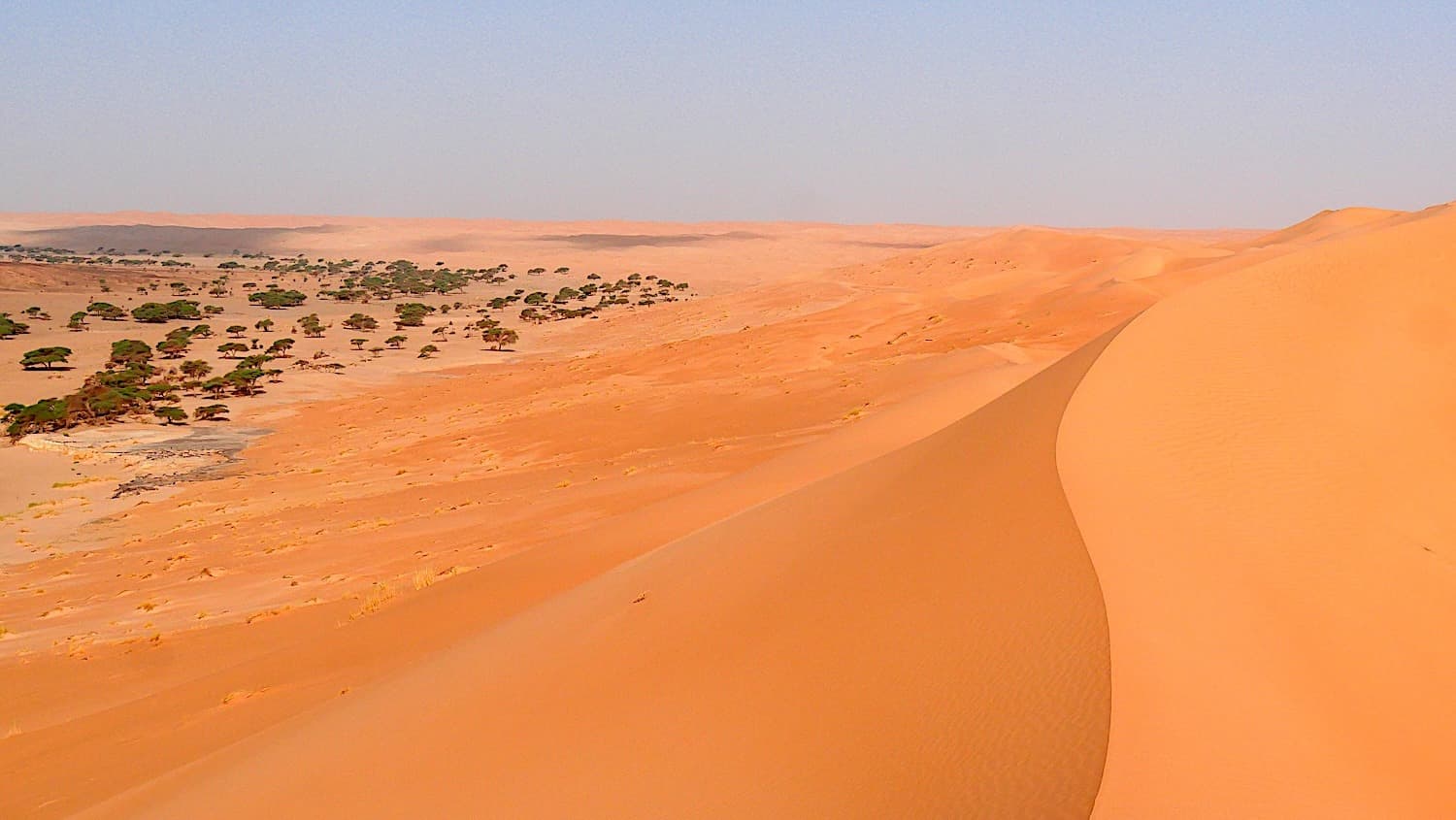 Senderismo de montaña en Mauritania: El erg Maghteir y los misterios del Adrar - Viaje de Autor por Sylvain PHILIP