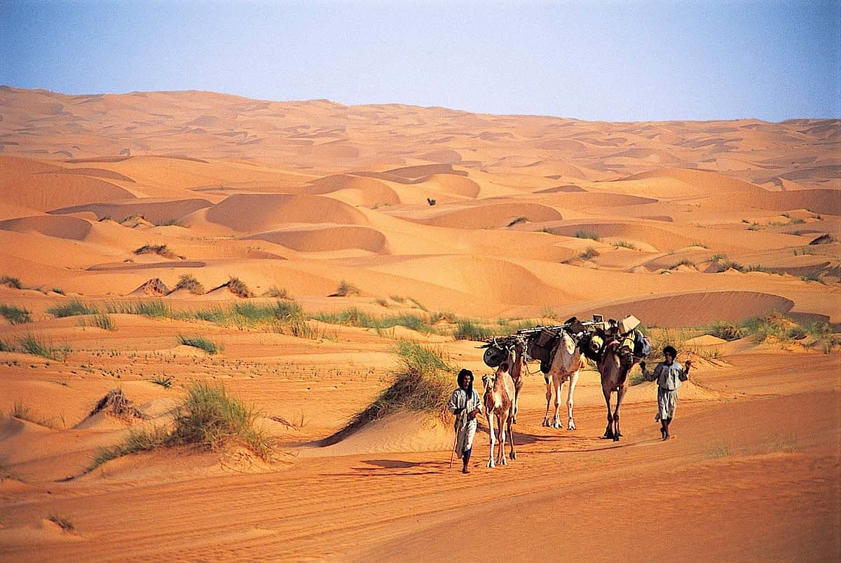 Dunas y palmeras - Mosaico sahariano en Adrar occidental