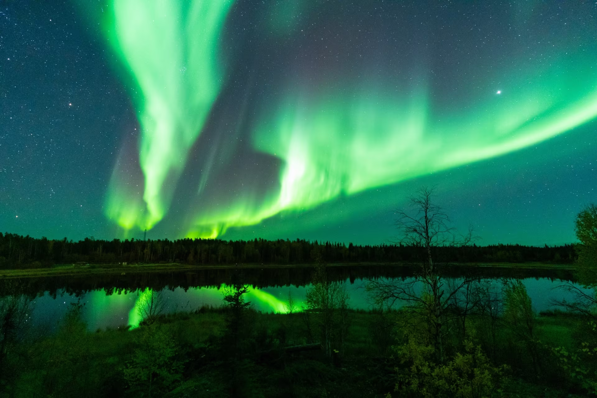 Bajo las auroras del Gran Norte