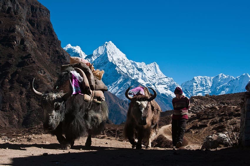 Namche Bazaar: la capital de los Sherpas
